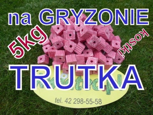21ee38eda0c799fd5303c8a0896265eb