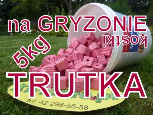 683ca776918b614e739016794958d02a