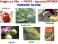 dd1afed921332ebc3c6ddc4f0305356e