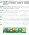 cd32ce99b1b13d674980cf4903645fe1