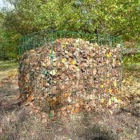 bd7f5935a61e7c8edb4bf0d6f4b5e64c