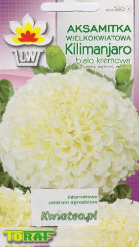 fc78baa8460b7a63fca1e0a7840357c9