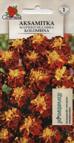 29cffea4cd0357e76c0af2609b2761f0