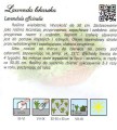 c8cf460260b14c078dc5ac38ab109624