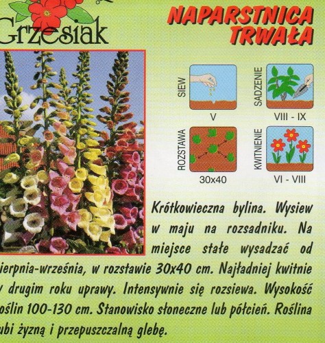 4870f47d169c66177a99b26850c0fe31