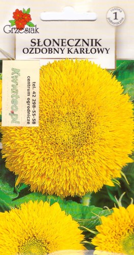 dd7f5d5987ec9ac06a95cdb795872cca