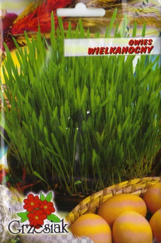 4d4abac812b734c3396bcbc5572867fb