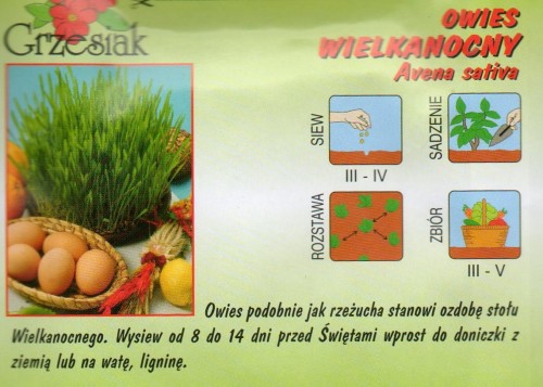 3f91b357a83cfa3f189f9898be1f8338