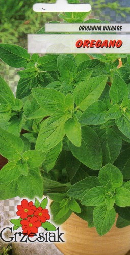 OREGANO (Origanum Vulgare) nasiona ziół przyprawa lebiodka pospolita