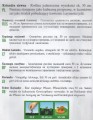 e2d521553b6e593b189edde996734751