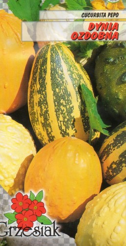 DYNIA OZDOBNA drobna małe owoce różne kształty i kolory (Cucurbita pepo) mieszanka nasiona do wysiewu miks kolorów kształtów żółty zielony pomarańczow