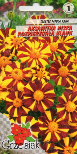 3bf95b034848d35d72dfbd51d0821b16