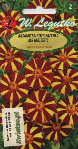 b9ff0f7ab0c49c67594feb4f2459789b