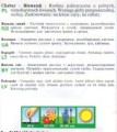737c018d845b0411e21436d637c08fa6