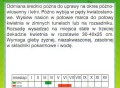 ffba6104d2653bbd41469fba6d06b539