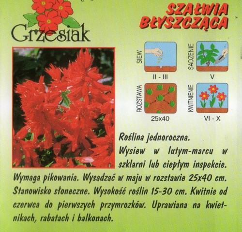 dd8b13019c4fe51244d2c1b0df7ce4bf