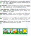 ce522dcabfeec8cbf59ded7a8562b572