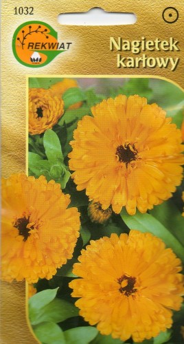 cc2cff9ab28fab1056adfd56cdfe3516