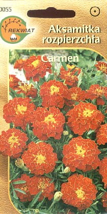 09a3f4b28b36c4890ad66ef10fa9734d