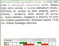 23d5586dca861a151d170718797bebf1