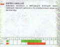 23cff25a55044cba584c9a4e7ea395da