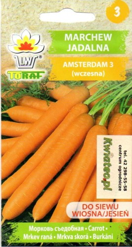 MARCHEW 'AMSTERDAMSKA' wczesna nasiona 'Amsterdam 3'