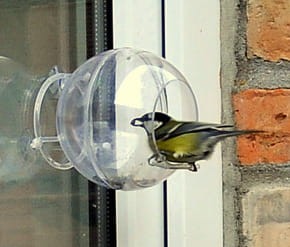 a8c4210452e3b1e69187ff8ee38b979e