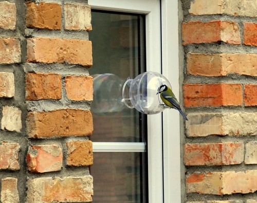 7988ba822cfe436d13169d96010ea7ab