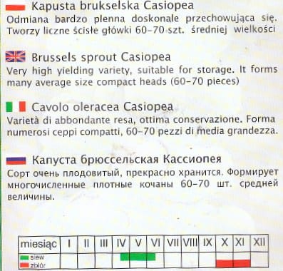cd16b49e9bd34ecb8b17a072eb4d14ad