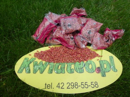 76ff201541535fce2c4192237f73c5e1